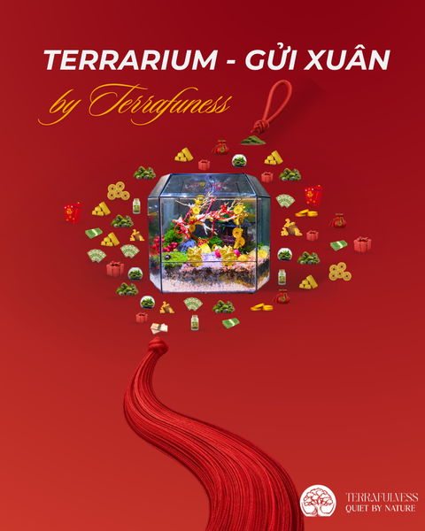 Tết Với Terrarium - Khi Bình Yên Cũng Cần Một Hình Dạng