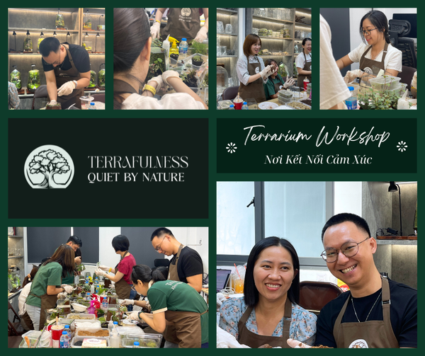 Workshop Terrarium Đầu Tiên Và Cái Cảm Giác Tìm Thấy Được Chốn Bình Yên Giữa Sự Ồn Ào Của Thành Phố