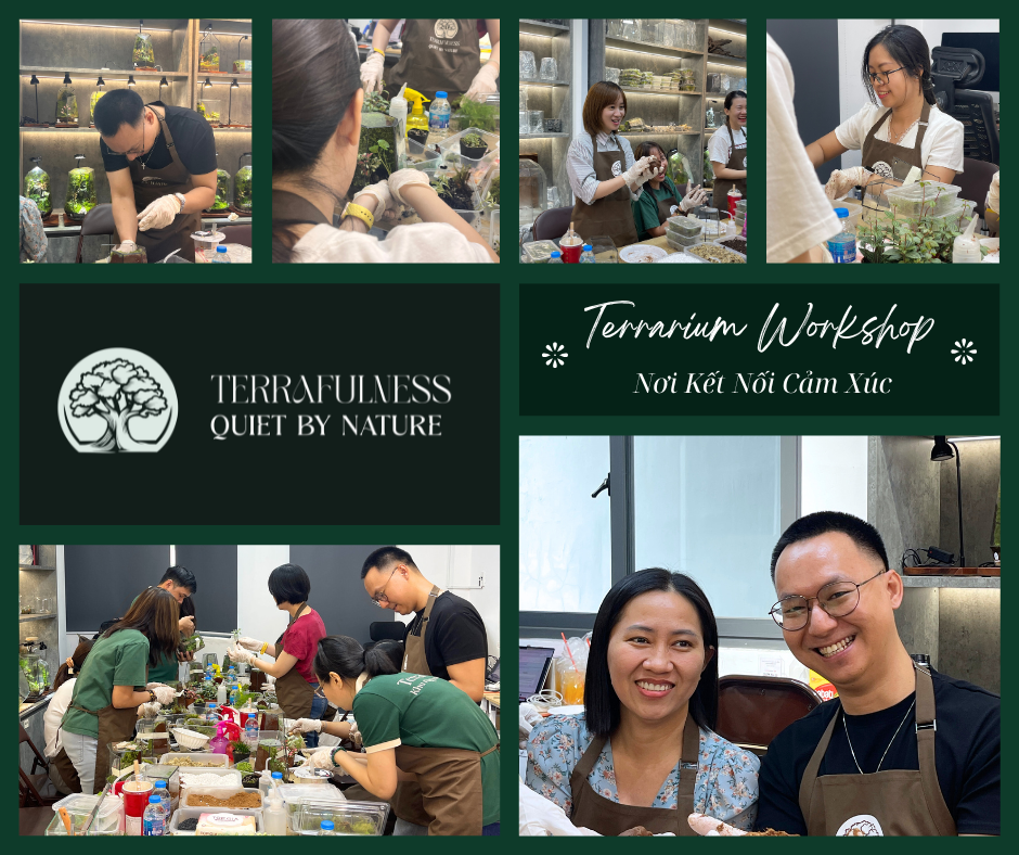 Khi Mỗi Chiếc Lọ Trở Thành Nhật Ký Cảm Xúc | Hành Trình Kết Nối Nội Tâm Terrarium Workshop