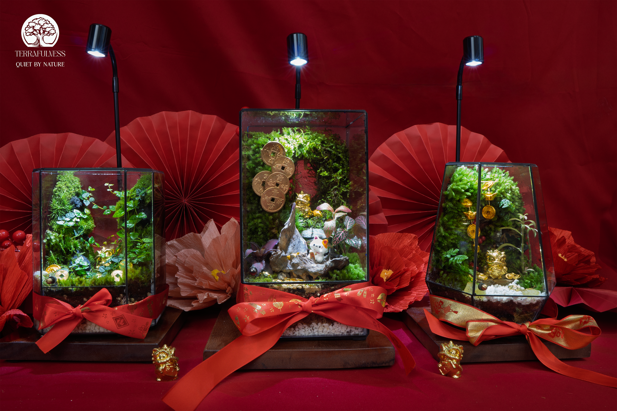 Món Quà Tết Xanh Tinh Tế Cho Năm Mới An Yên 2026