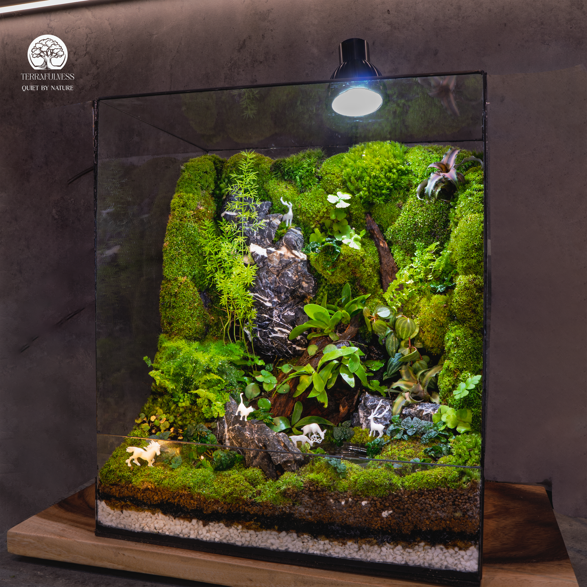 Nghệ thuật tặng quà sếp: Vì sao chọn Terrarium?
