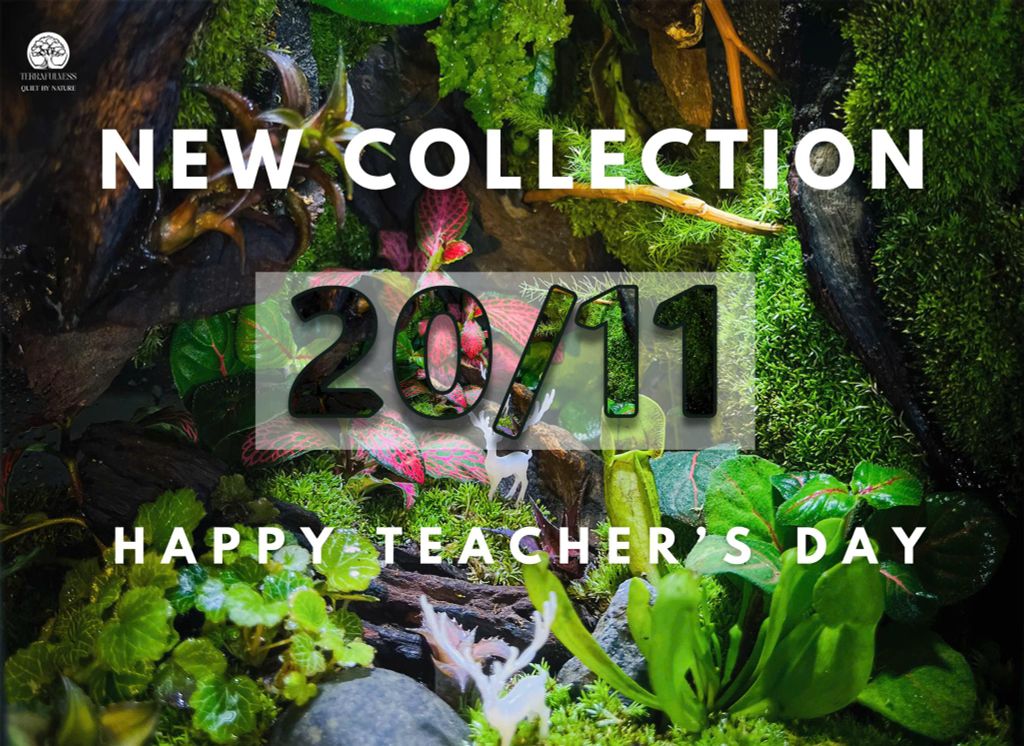 Tháng 11 - Mùa Của Lời Cảm Ơn, Và Những Chiếc Terrarium Ấm Áp