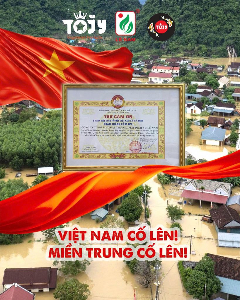 TOJY Hướng Về Miền Trung Thân Yêu
