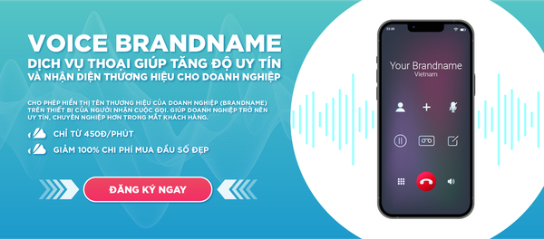 Hướng dẫn Doanh nghiệp chuẩn bị hồ sơ khai báo dịch vụ Voicebrandname