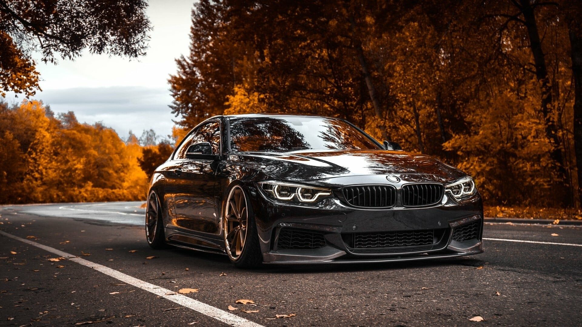 BMW – G79 AUTO
