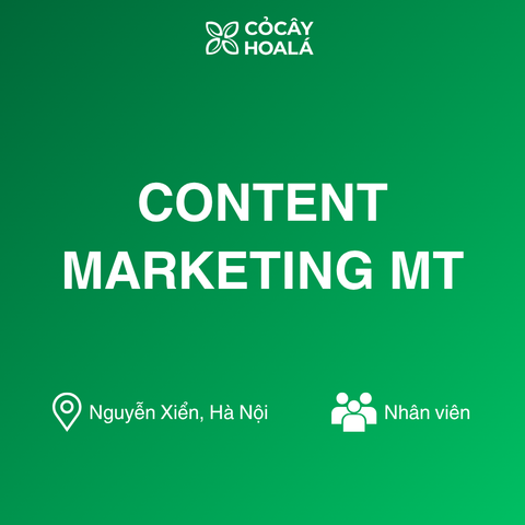 Content Marketing MT & Cộng Đồng Khách Hàng