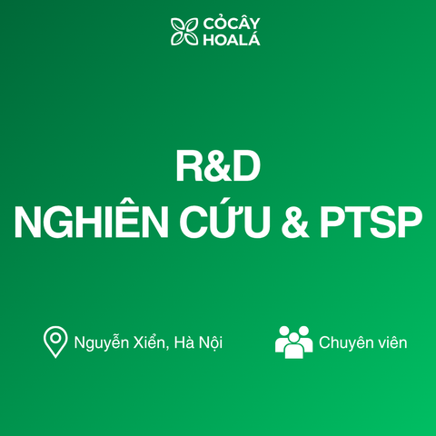 Chuyên Viên Nghiên Cứu & Phát Triển Sản Phẩm