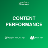 CONTENT PERFORMANCE