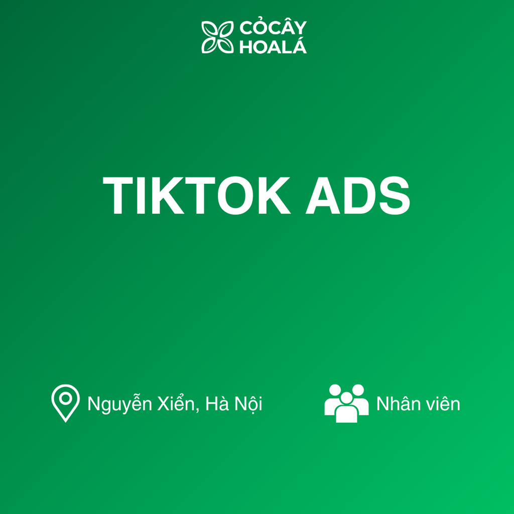 TIKTOK ADS