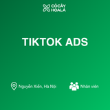 TIKTOK ADS