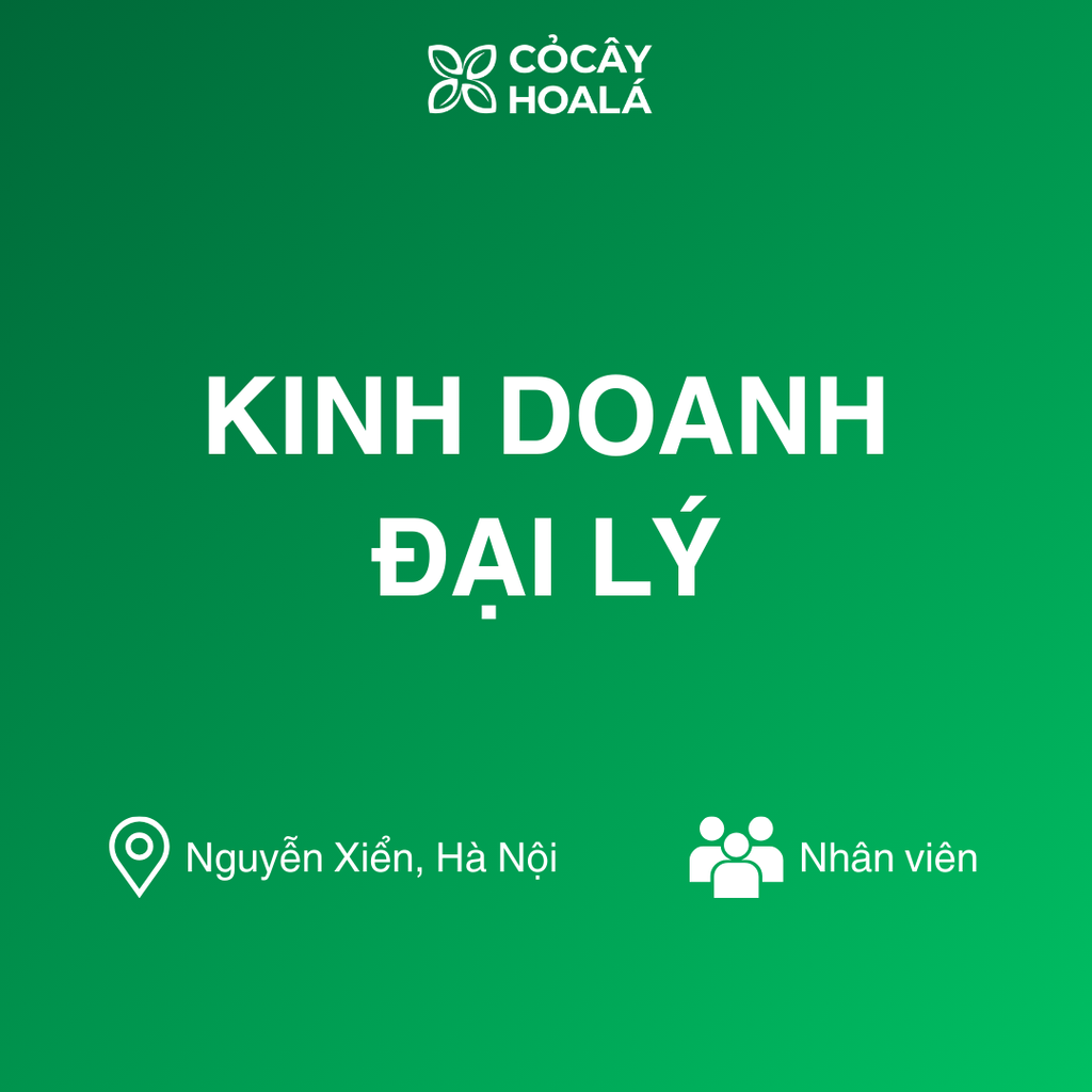 KINH DOANH ĐẠI LÝ