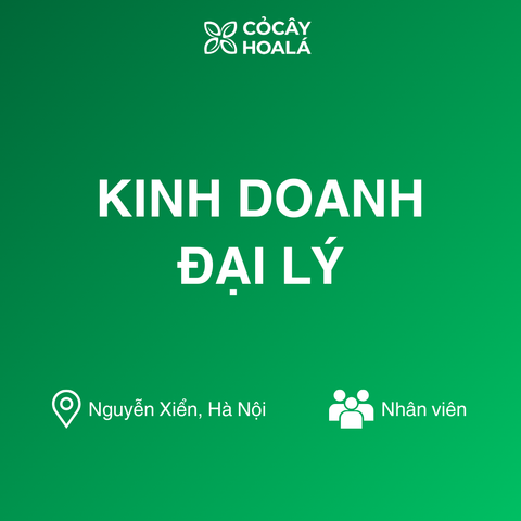 KINH DOANH ĐẠI LÝ