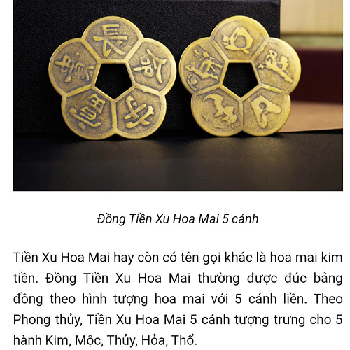 Đồng Xu Hoa Mai Kim Tiền: Bí Mật Giữ Tiền Ít Người Biết