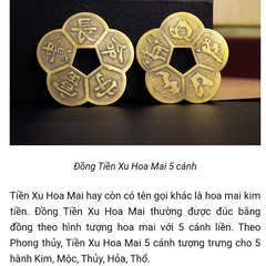 Đồng Xu Hoa Mai Kim Tiền: Bí Mật Giữ Tiền Ít Người Biết