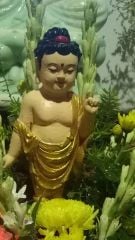 🌸 Vì Sao Mùa Phật Đản Năm Nay Ai Cũng Tìm Mua Chuỗi Bồ Đề?