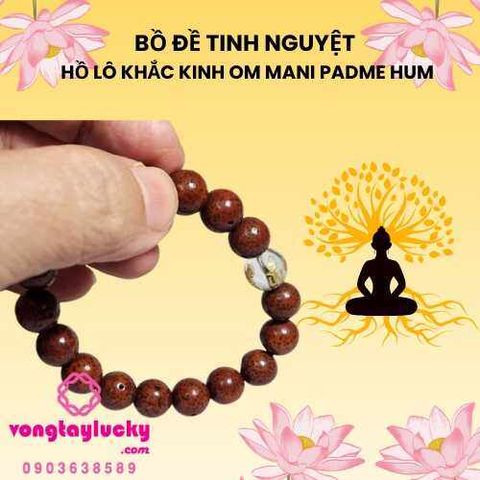 chuỗi bồ đề, khuyến mãi