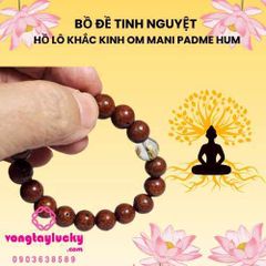 khuyến mãi, 6/6, quà tặng