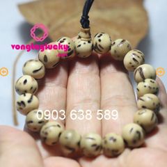 Hình ảnh bài viết