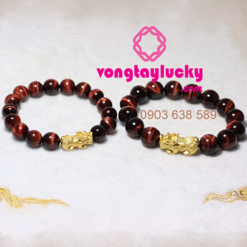 Hình ảnh bài viết