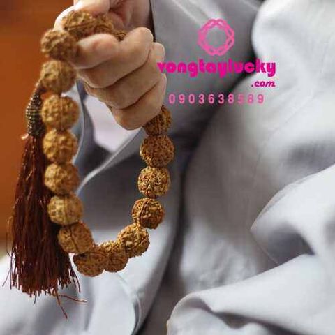 Hình ảnh bài viết
