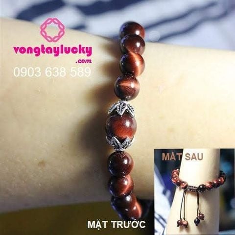 Hình ảnh bài viết