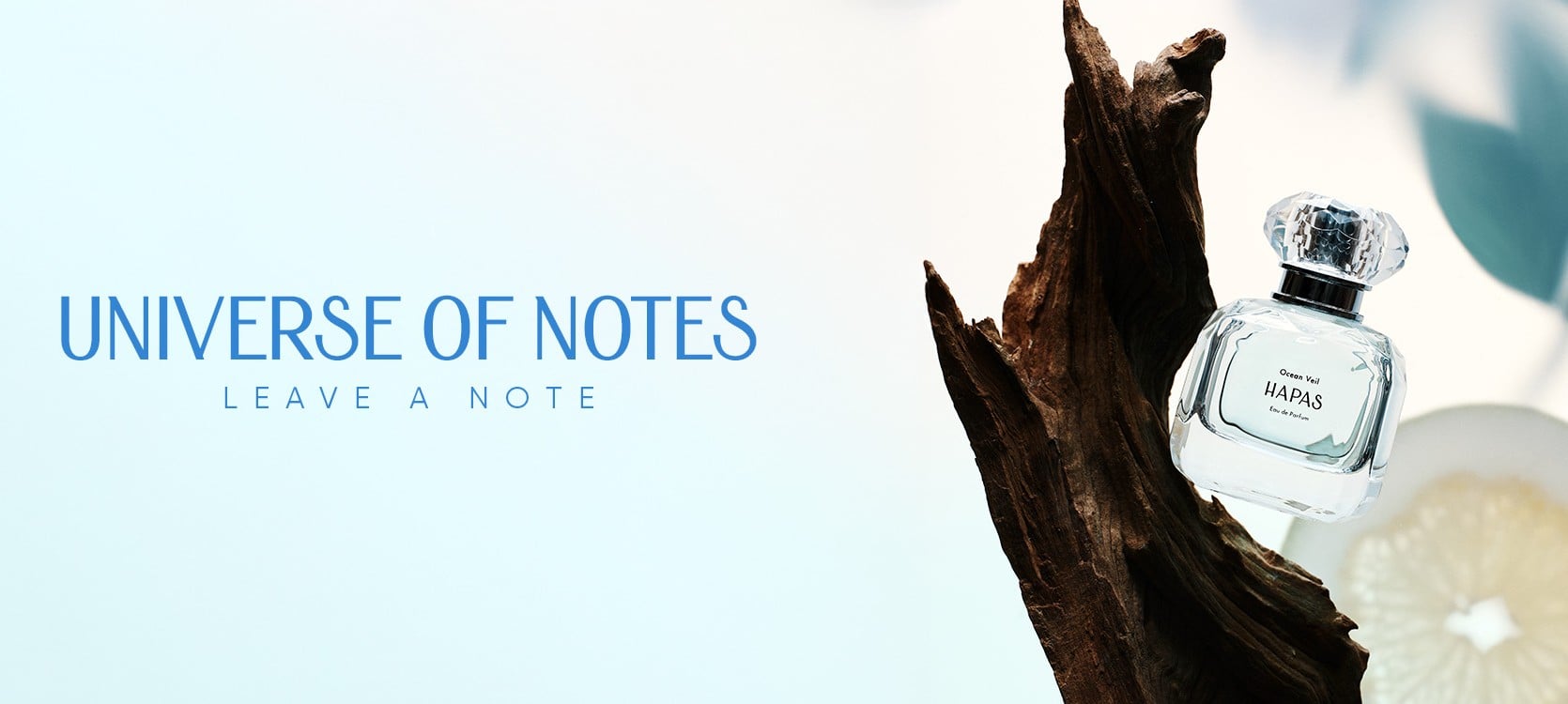 UNIVERSE OF NOTES