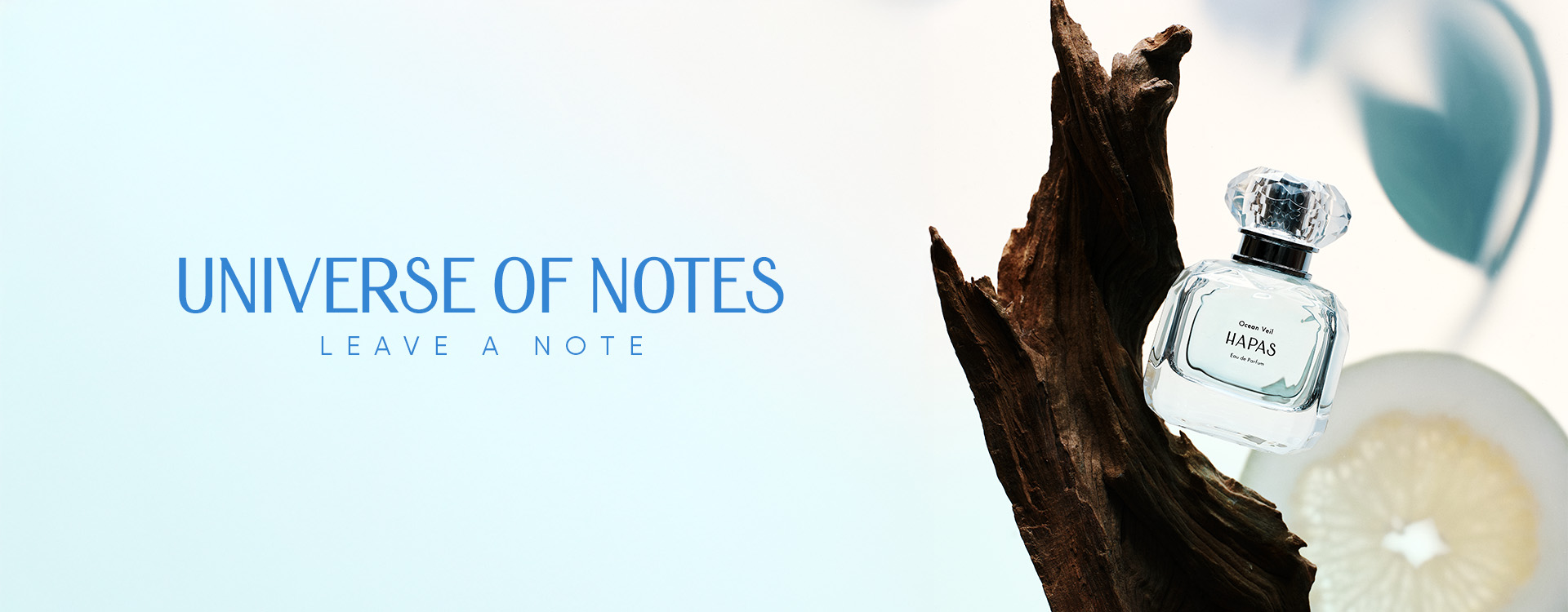 BST UNIVERSE OF NOTES