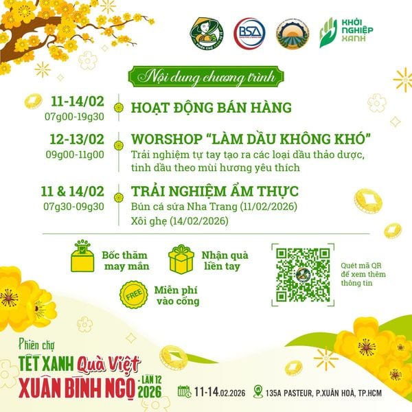 Tết này có gì ?