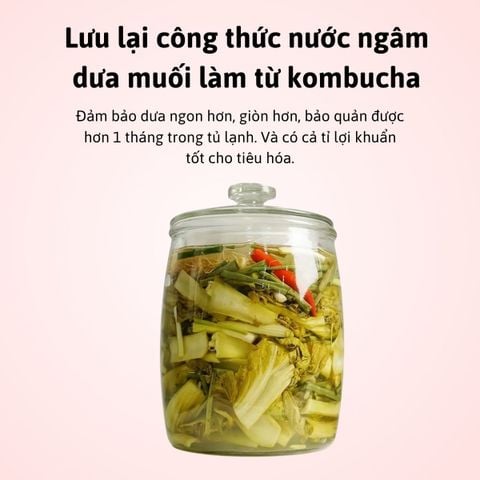 Cách làm dưa muối bằng kombucha giòn ngon tại nhà bằng Kom,bucha