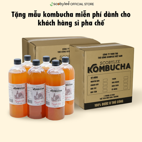 Nhận mẫu kombucha miễn phí dành cho khách hàng mua số lượng lớn