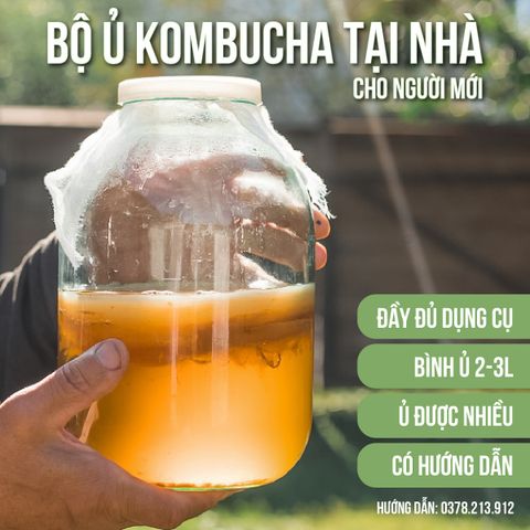 Vì sao nên ưu tiên bình thủy tinh và nắp vải khi ủ Kombucha?