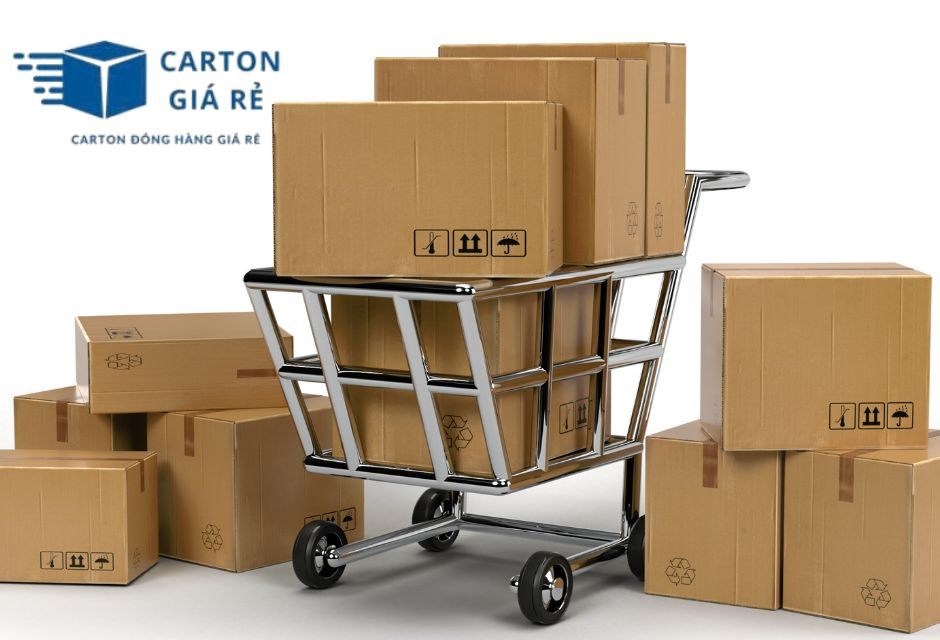 Làm sao chọn hộp carton phù hợp từng dòng sản phẩm?