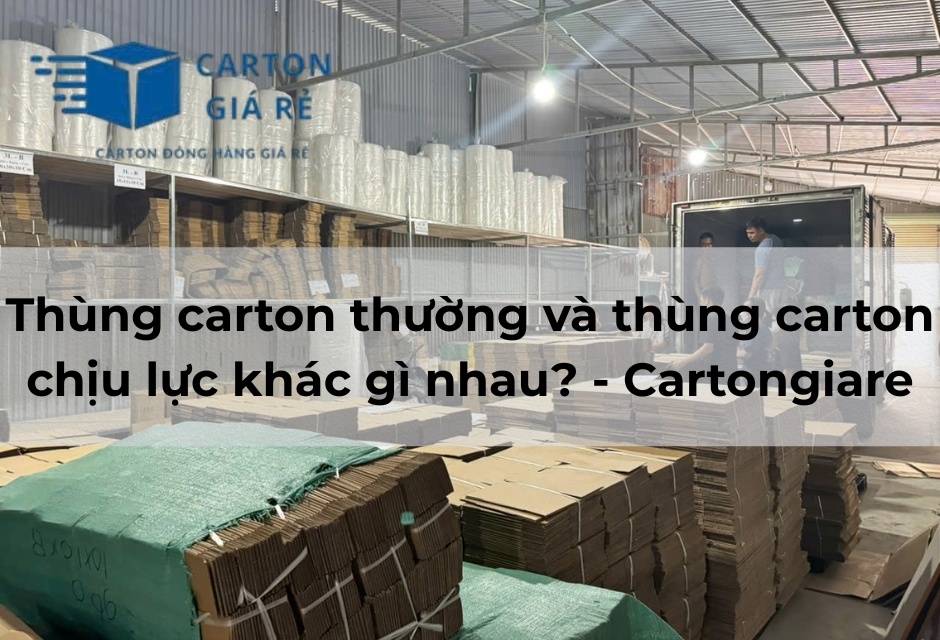 Thùng carton thường và thùng carton chịu lực khác gì nhau? - Cartongiare