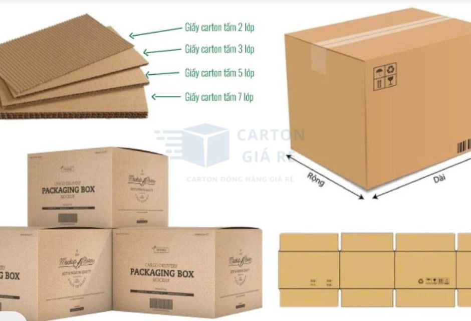 Thùng carton 3 lớp, 5 lớp, 7 lớp dùng khi nào? - Cartongiare