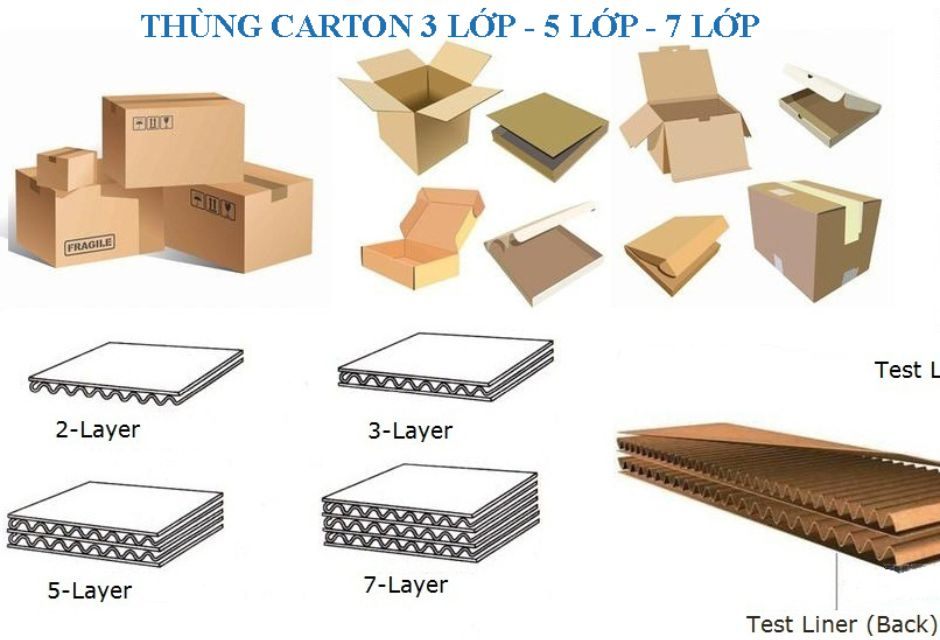 Tiêu Chuẩn Chất Lượng Hộp Carton Nắp Cài