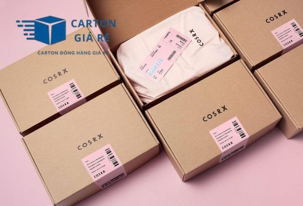 Hộp Carton Nắp Gài Đựng Quần Áo Mùa Hè/Mùa Đông - Cartongiare