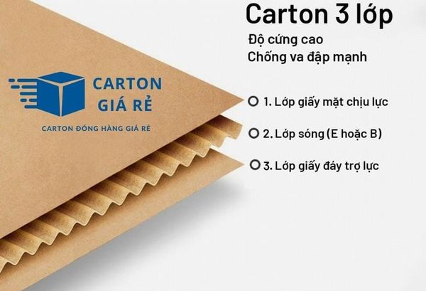 Những Lưu Ý Khi Thiết Kế Hộp Carton Nắp Cài