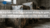 Bí kíp bảo quản hộp carton không bị gián, mối mọt: Giải pháp tối ưu cho kho nhỏ