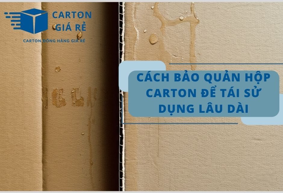 Cách Bảo Quản Hộp Carton Để Tái Sử Dụng Lâu Dài