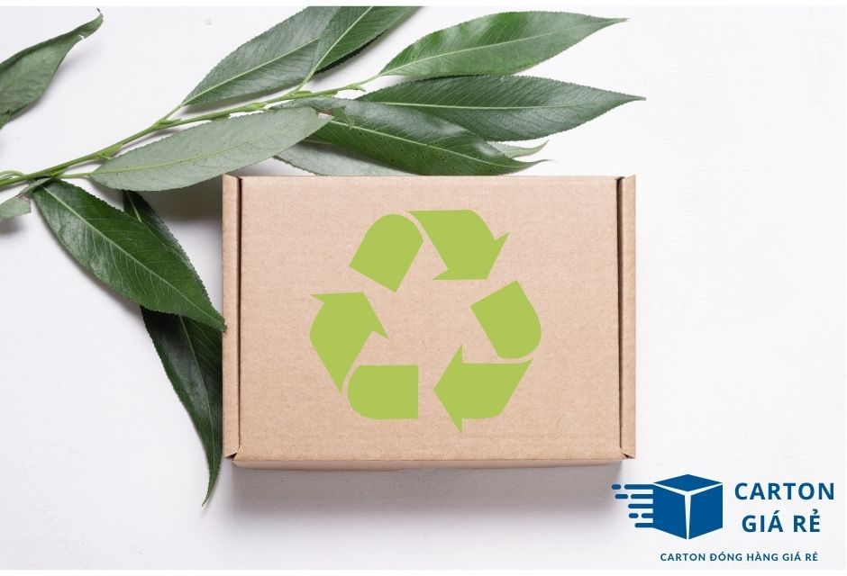 Ứng Dụng Hộp Carton Trong Đóng Gói Thân Thiện Môi Trường
