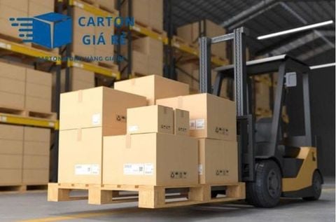 Hướng dẫn toàn bộ quy trình sản xuất hộp carton đóng hàng