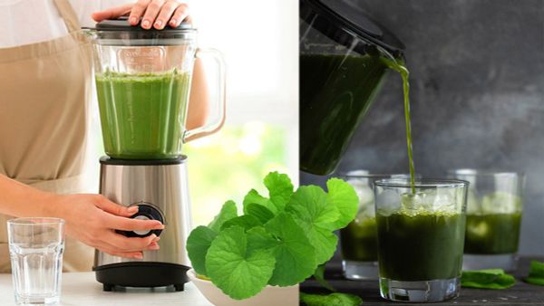 Cách xay rau má bằng máy sinh tố công nghiệp 1