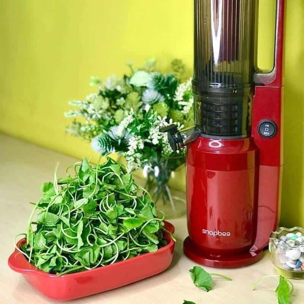 Vệ sinh và bảo trì máy xay sau khi xay rau má liên tục