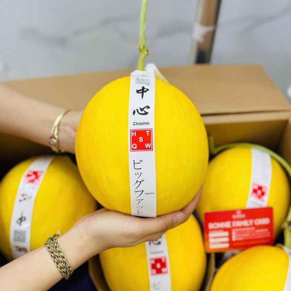 dua-kim-hoang-hau-viet-nam