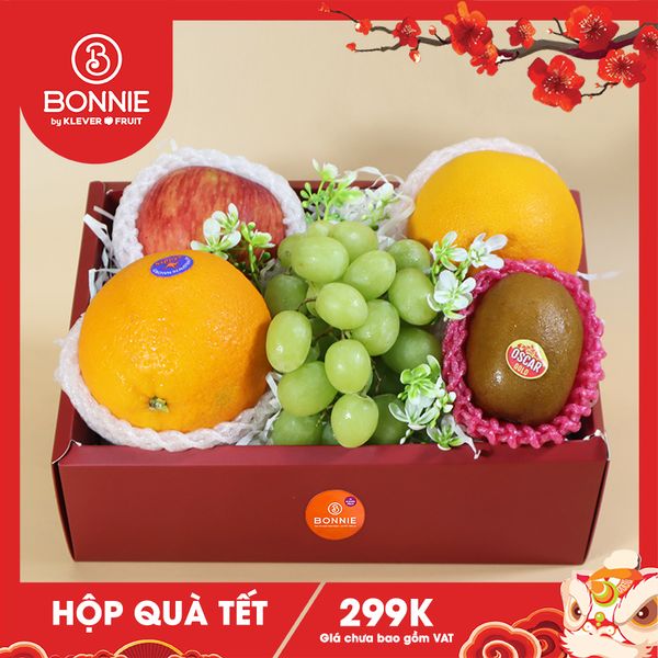 Hộp quà tết trái cây 300k