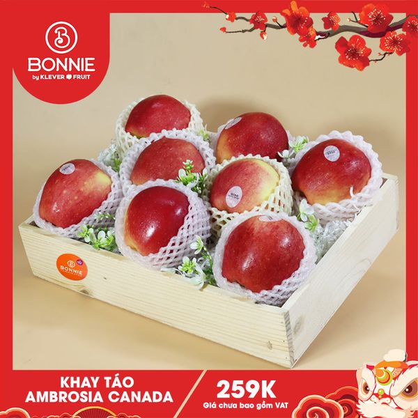 Hộp Quà Tết Táo Ambrosia Canada 259K – Quà Tết Đẹp Nhẹ, Dễ Ghi Điểm