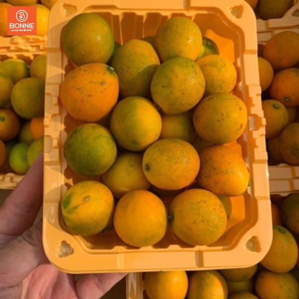 Hộp quất ngọt tươi ngon tại Bonnie Fruit