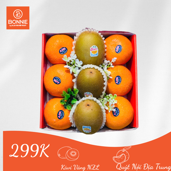 set-qua-ket-noi