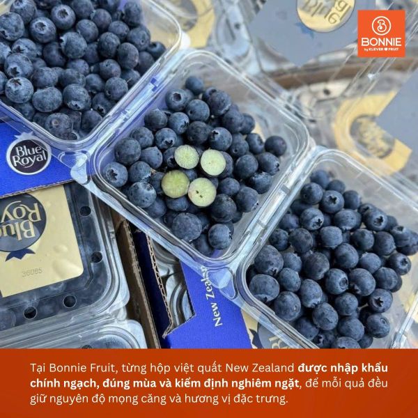 Việt quất New Zealand