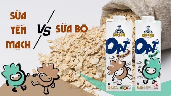 SỮA YẾN MẠCH VỚI SỮA BÒ GIỐNG NHAU?